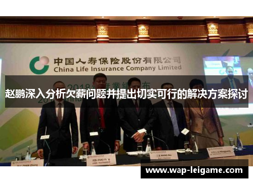 赵鹏深入分析欠薪问题并提出切实可行的解决方案探讨