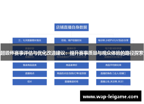 超级杯赛事评估与优化改进建议：提升赛事质量与观众体验的路径探索