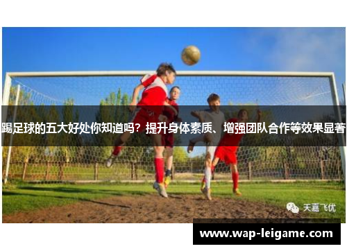 踢足球的五大好处你知道吗？提升身体素质、增强团队合作等效果显著