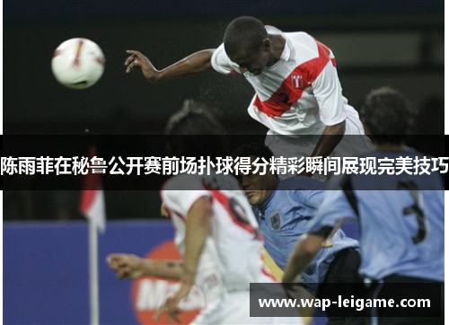 陈雨菲在秘鲁公开赛前场扑球得分精彩瞬间展现完美技巧