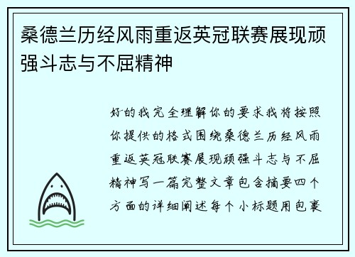桑德兰历经风雨重返英冠联赛展现顽强斗志与不屈精神